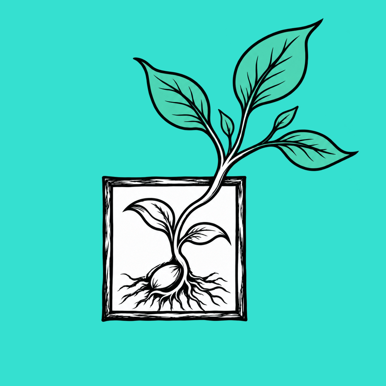Hand-drawn seedling growing up and out beyond its framed square